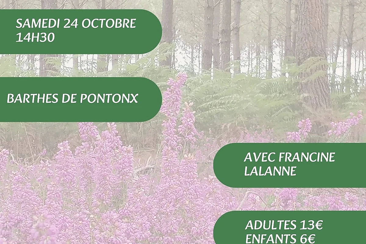 A la découverte des plantes sauvages, médicinales et comestibles avec Francine