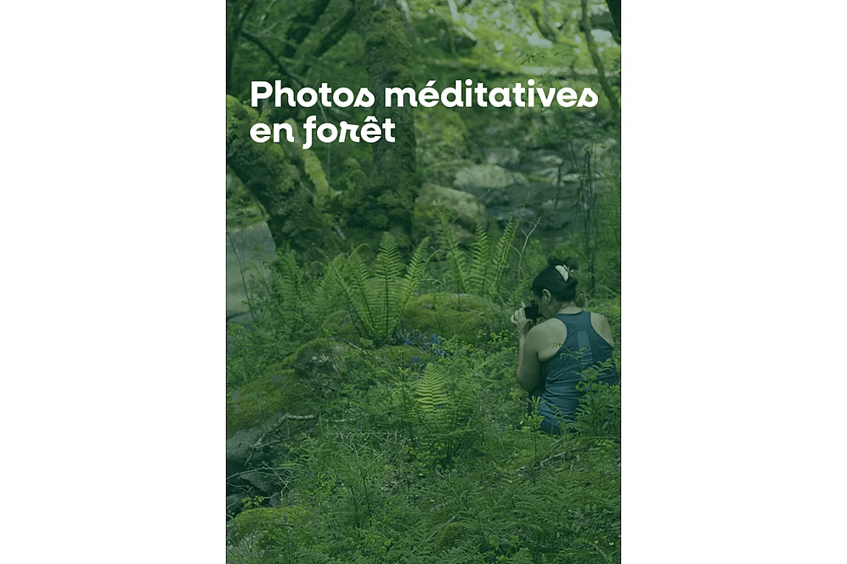 Photos méditatives en forêt