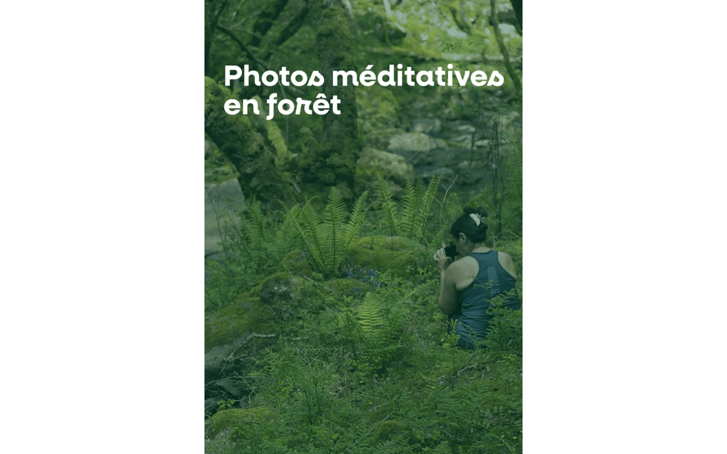 Photos méditatives en forêt