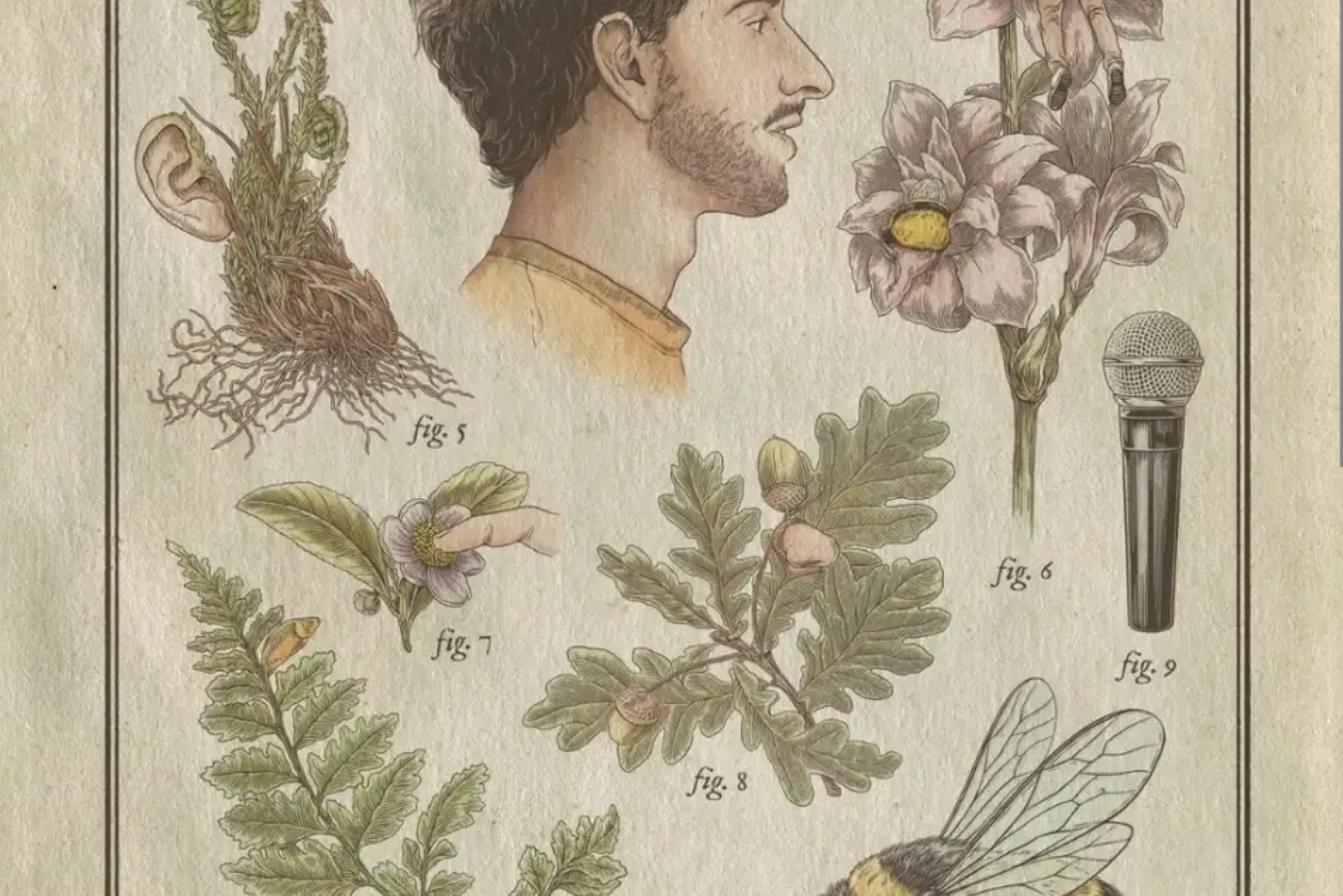 Rémi Boyes