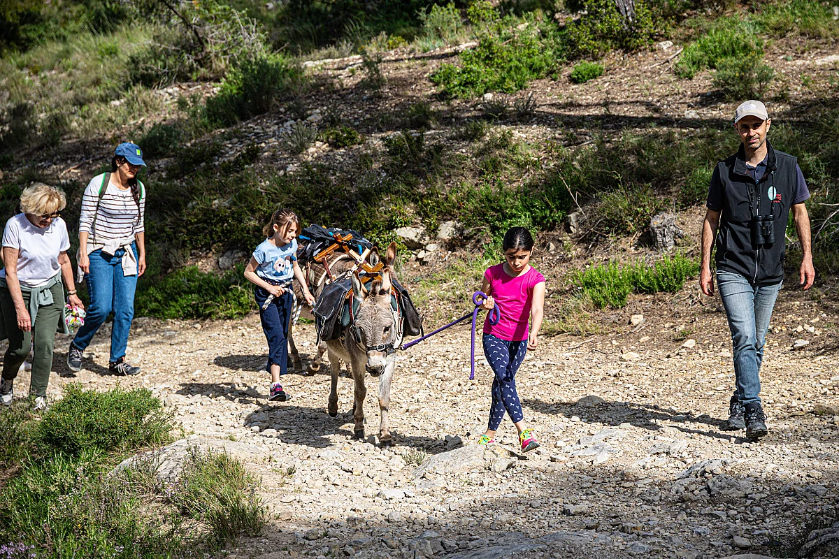 Balade avec les P'tits ânes : Le sentier de la pierre au pas des P'tits ânes