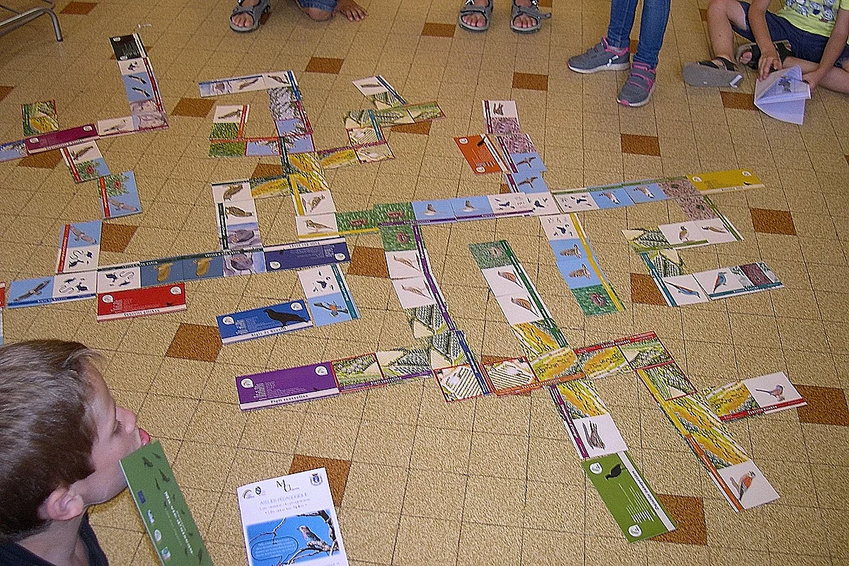 Atelier enfants : Les oiseaux des Alpilles