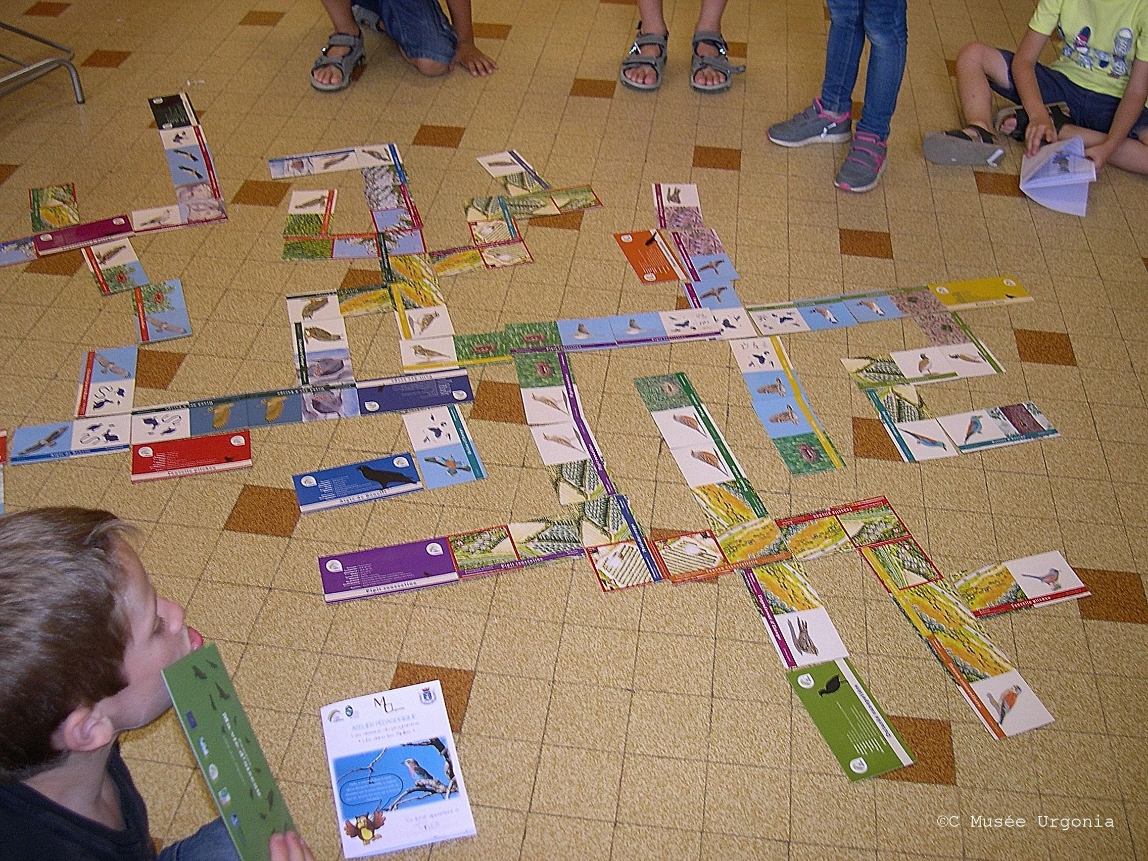 Atelier enfants : Les oiseaux des Alpilles