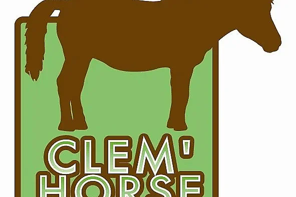 Journée du cheval chez Clem'Horse