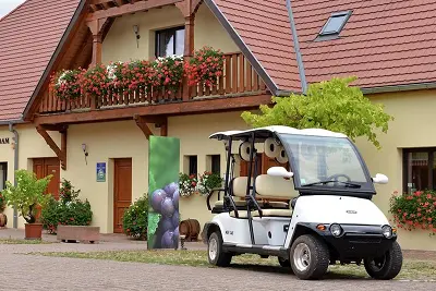 Promenade dans les vignes en véhicule électrique
