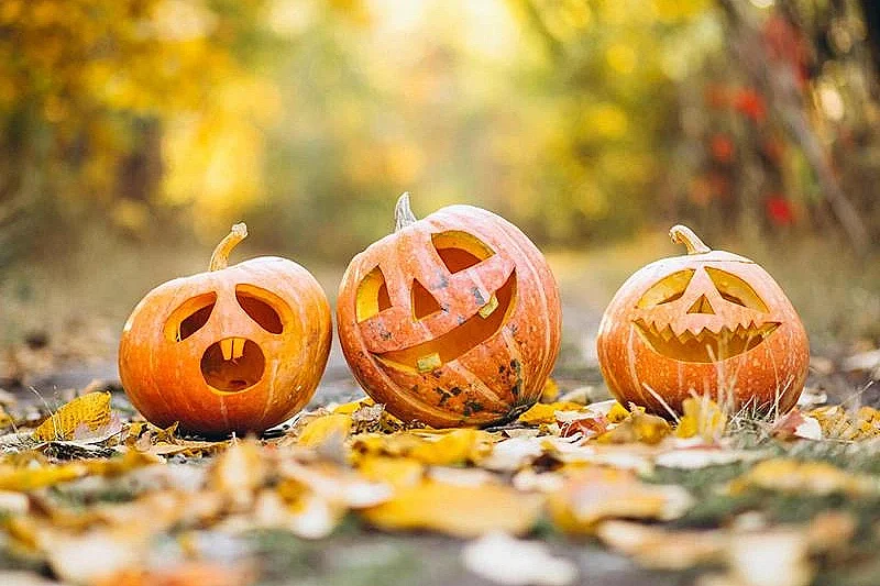 Halloween à Avenheim