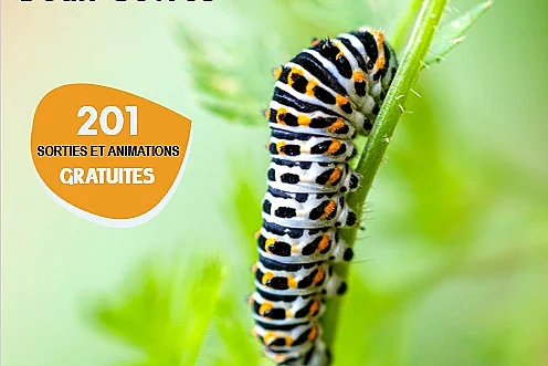 Sortie Nature : Promenade ichtyologique Pamprousienne
