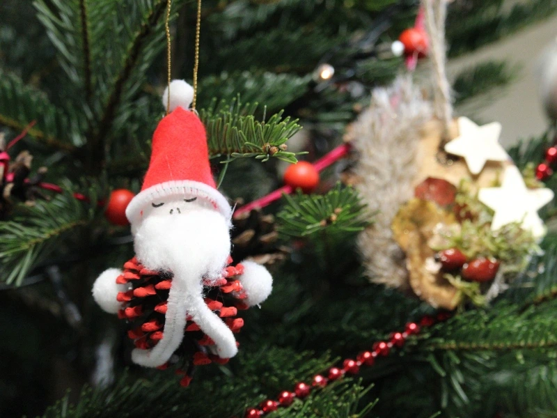 Décoration de Noël naturelle à Terres d'Oiseaux