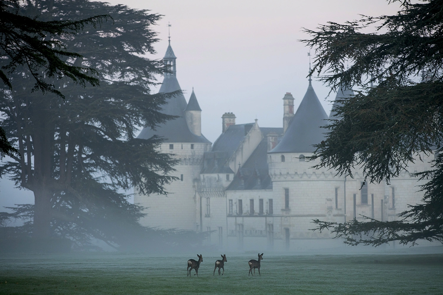 Noël au château de Chaumont-sur-Loire - Chasse au trésor
