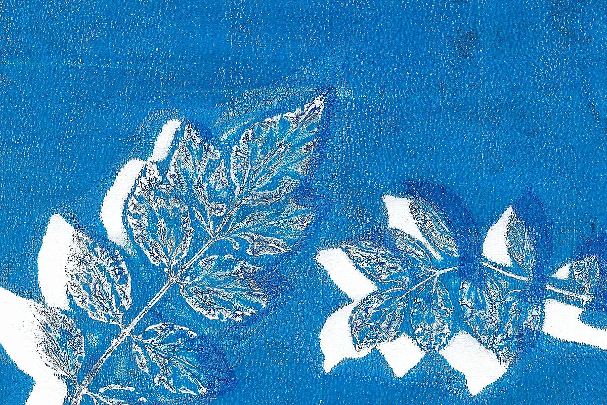Atelier pour artistes en herbe | Cyanotype avec l'artiste Mélissa Boucher Morales