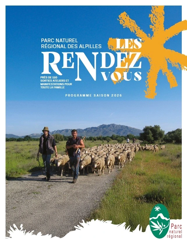 Balade nature : Herbier des Alpilles