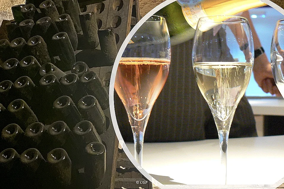 Immersion gustative dans le monde des Crémant de Bourgogne et d'ailleurs !
