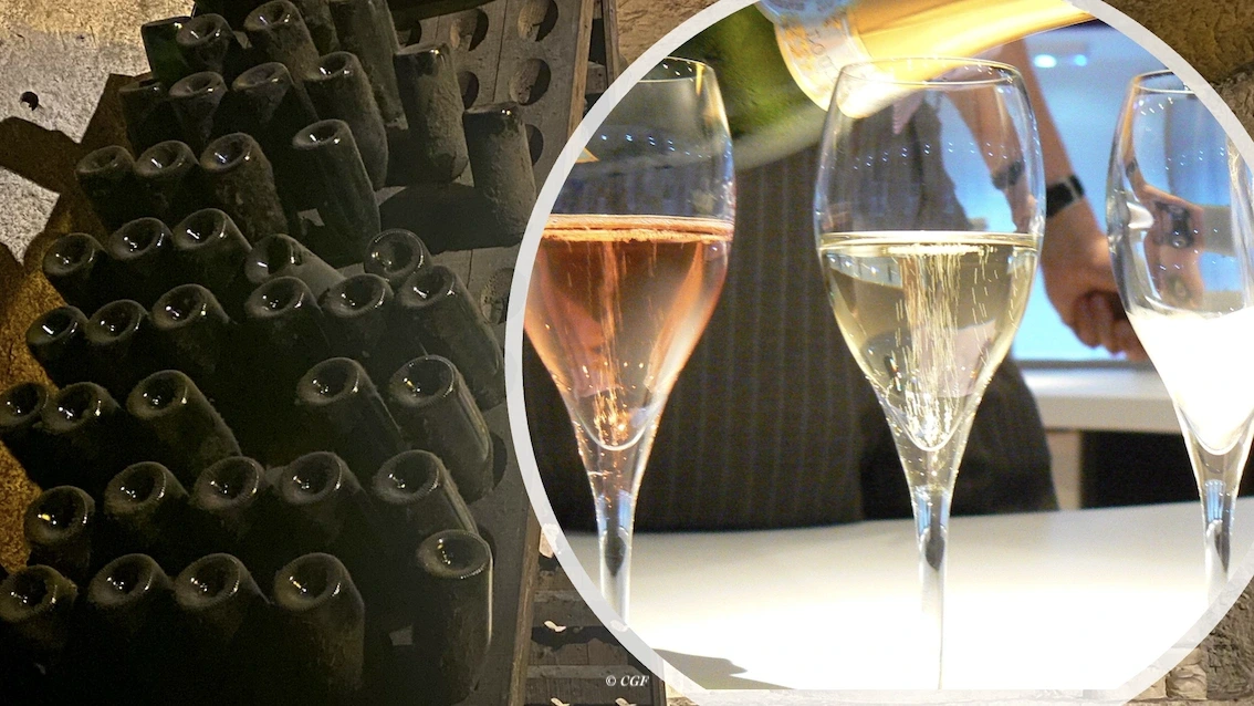 Immersion gustative dans le monde des Crémant de Bourgogne et d'ailleurs !