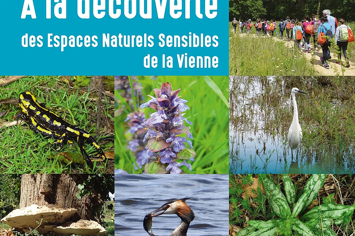 La biodiversité en automne