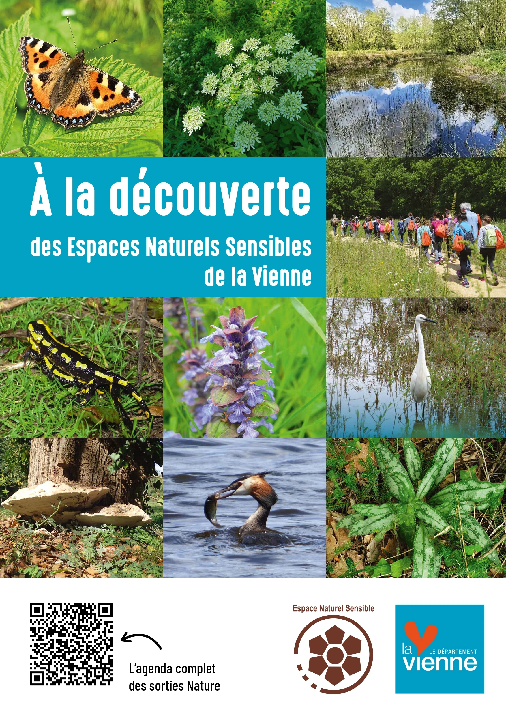 La biodiversité en automne