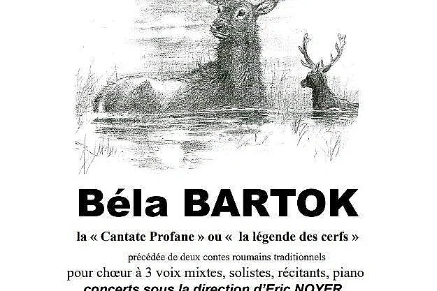 Concert - Béla Bartok