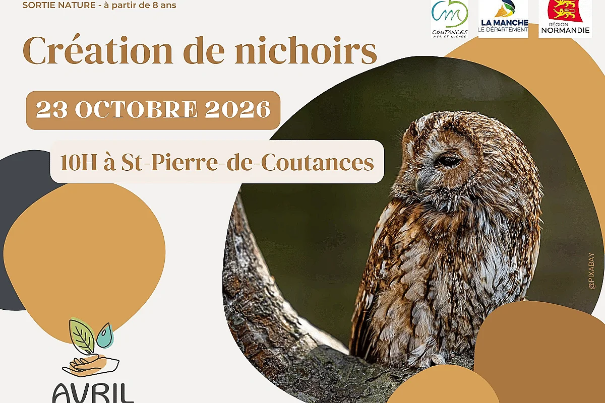 Création de nichoirs