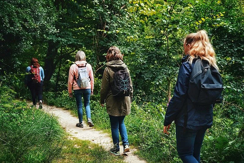 Expérience de Destination : J’éveille mes sens au cœur de la Forêt de la Lucerne