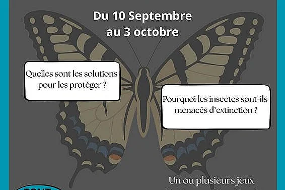 Exposition Mission Insectes