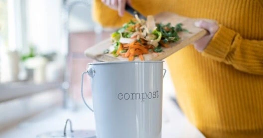 ATELIER "TOUT COMPOSTER, SANS NUISANCE"