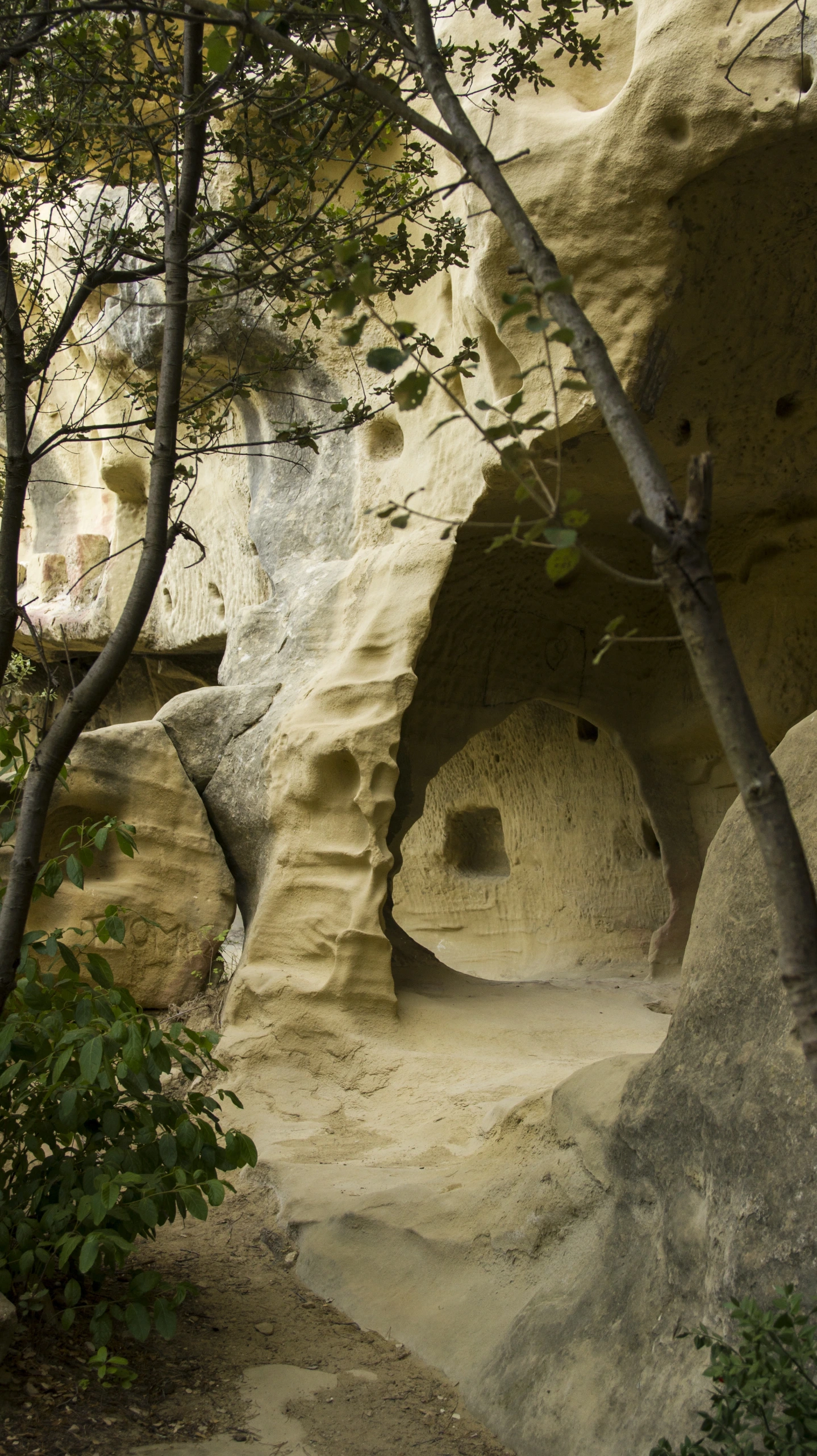 Randonnée nature : A la découverte du site de Calès