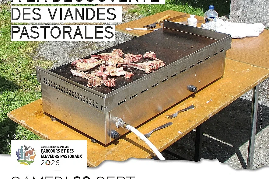 Bingo-pasto: à la découverte des viandes pastorales