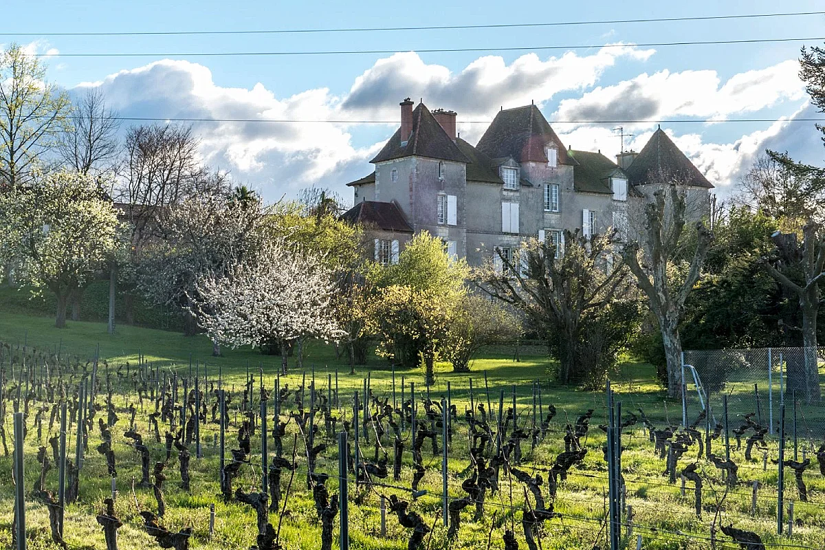 Le Brunch des Vendanges au château de Chelivette