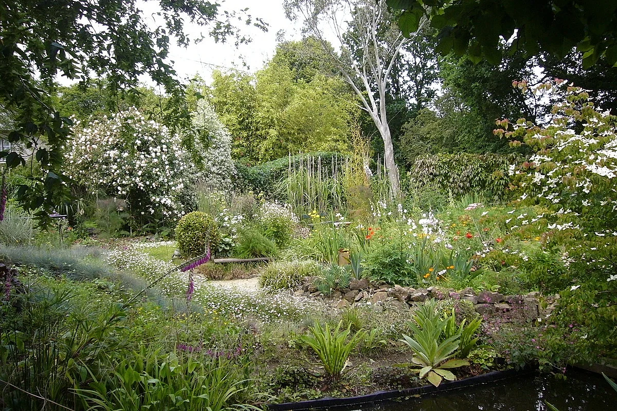 Visite accompagnée du jardin du Revers