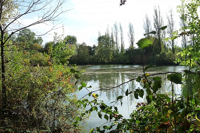 Nettoyage de la nature en bord de Loire