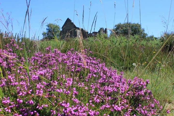 Participer à la préservation de l'espace naturel sensible du Mont Gargan