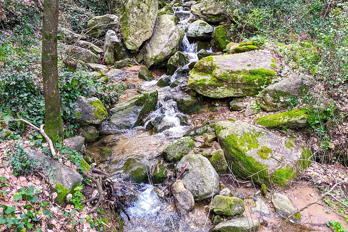 BALADE NATURE ET PATRIMOINE "LA FORGE MURMURE"