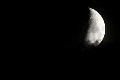 Un soir de pleine lune sur la prairie de l'étang Massé