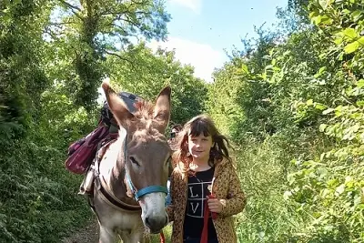 Découverte du bocage avec un âne du Cotentin