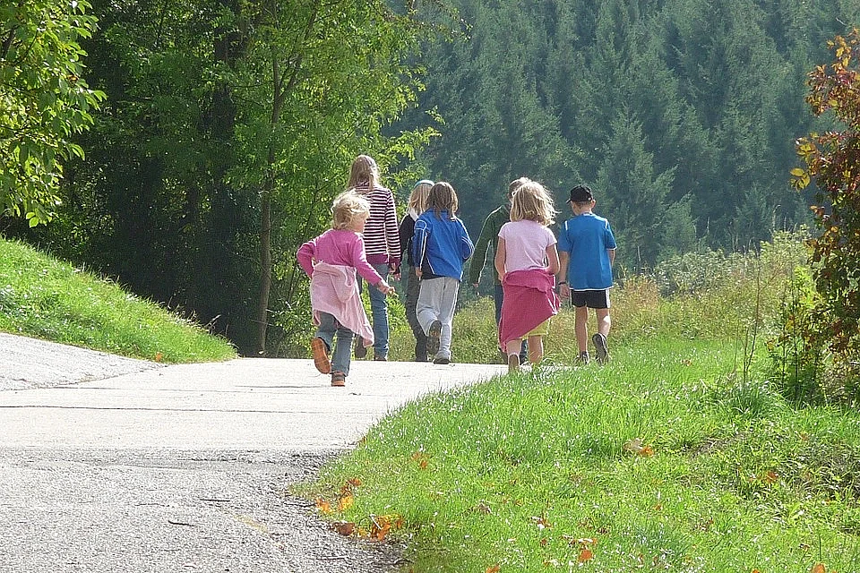Randonnée pédestre