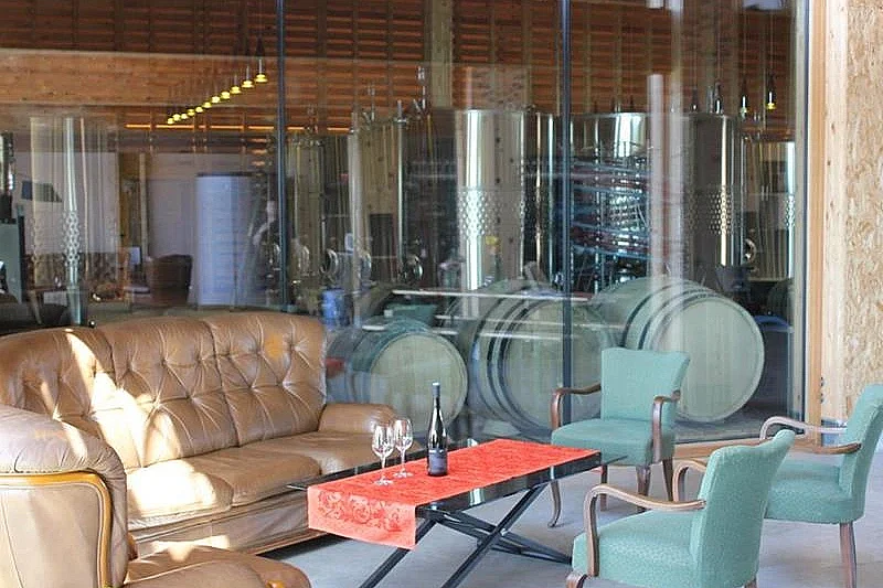 Dégustation : vins et huitres