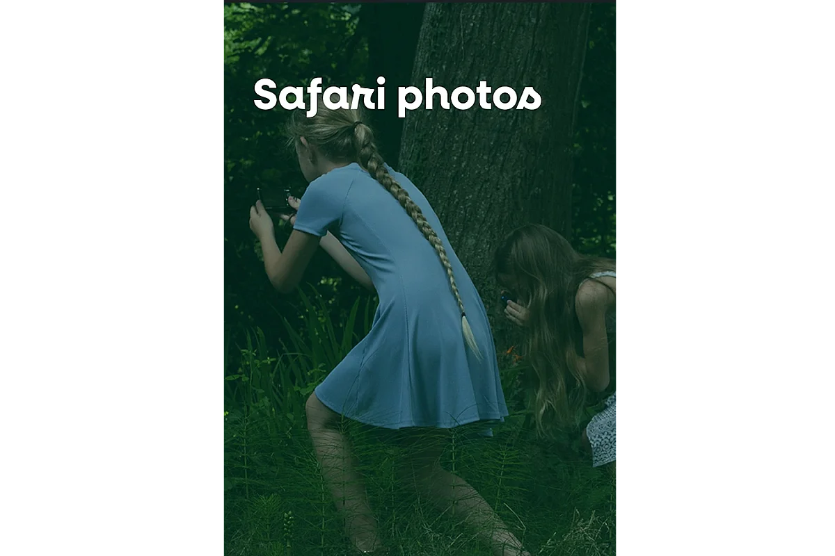 Safari photo