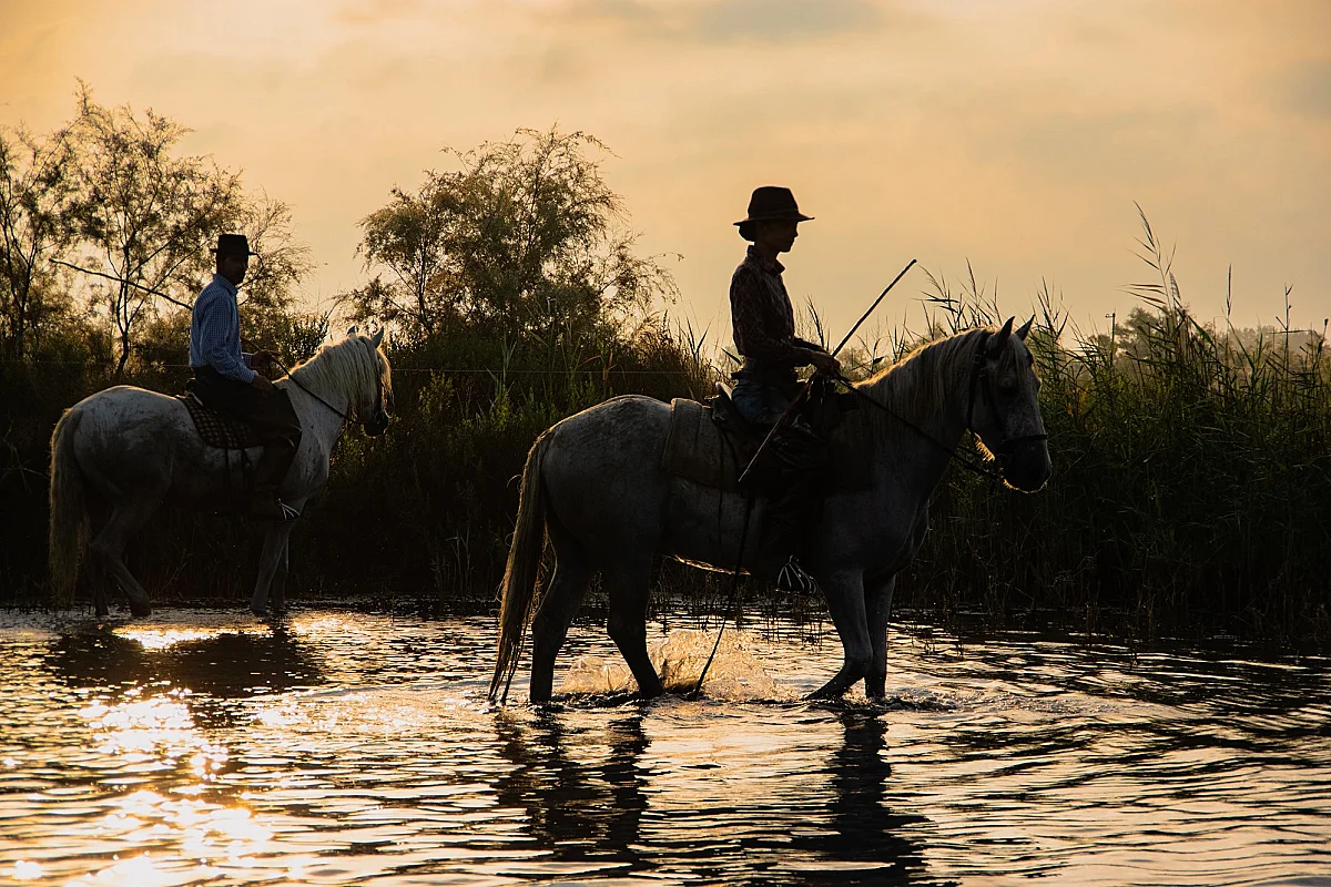 Séjour d'exception en Camargue : du 6 au 9 septembre