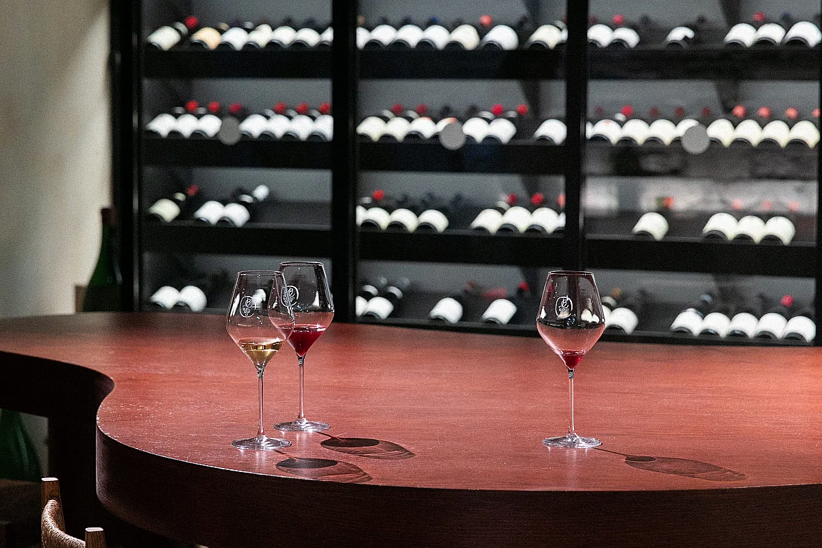Vignoble en scène à Chambolle-Musigny : atelier  au coeur de la vigne à Bellevigne
