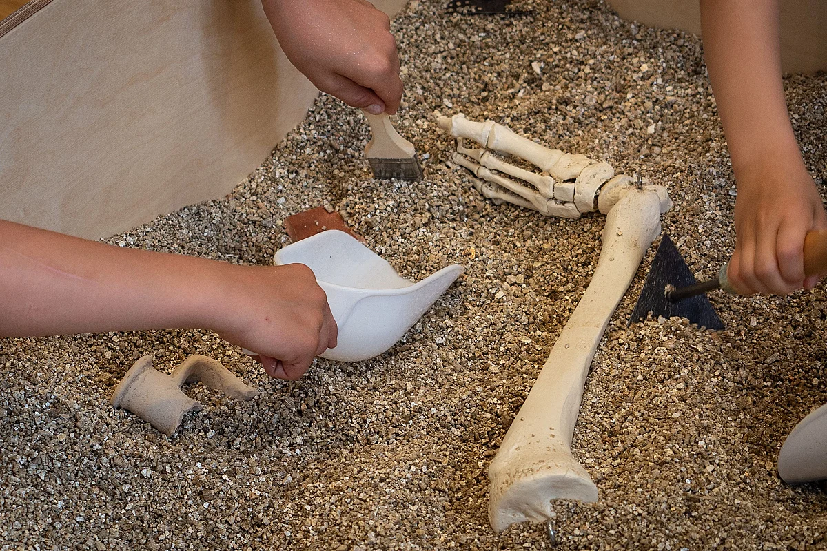 Visite de l'&cclesia et atelier de fouille archéologique