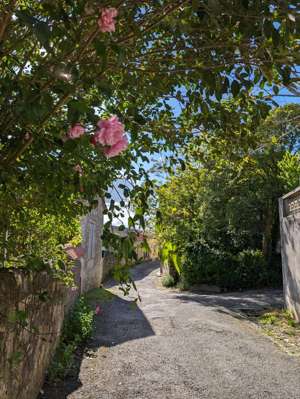 Octobre rose à Sainte-Colombe-en-Brulhois