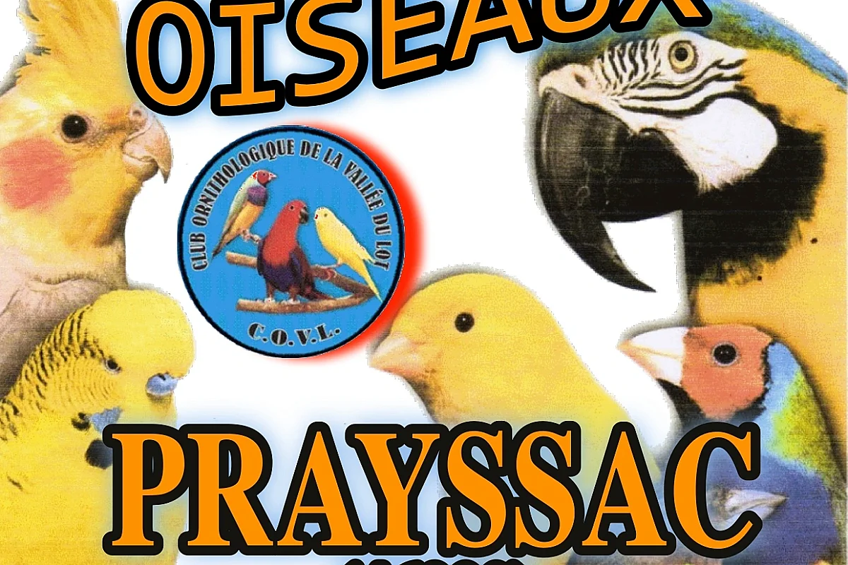 Bourse aux oiseaux exotiques