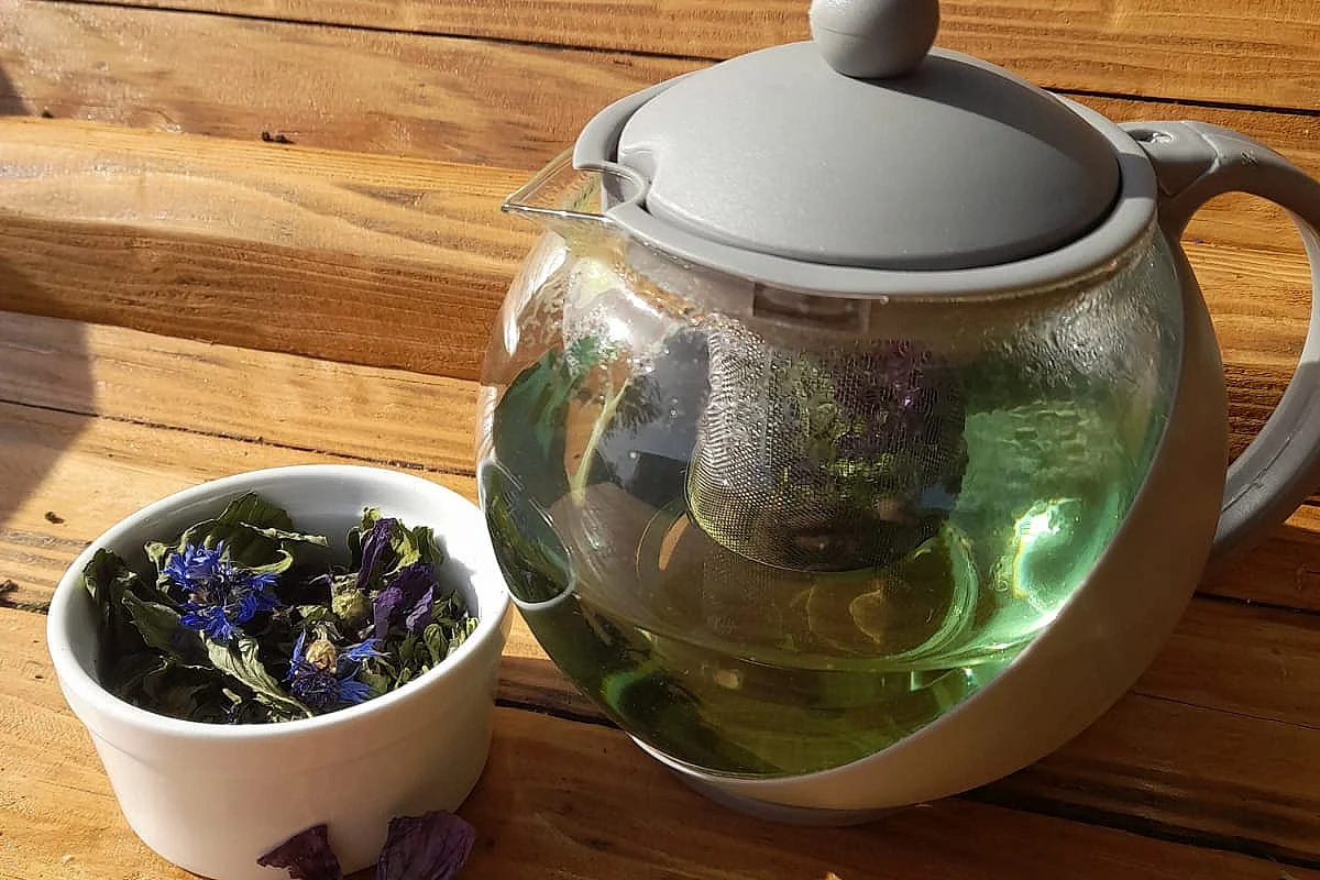 Atelier : créer son infusion