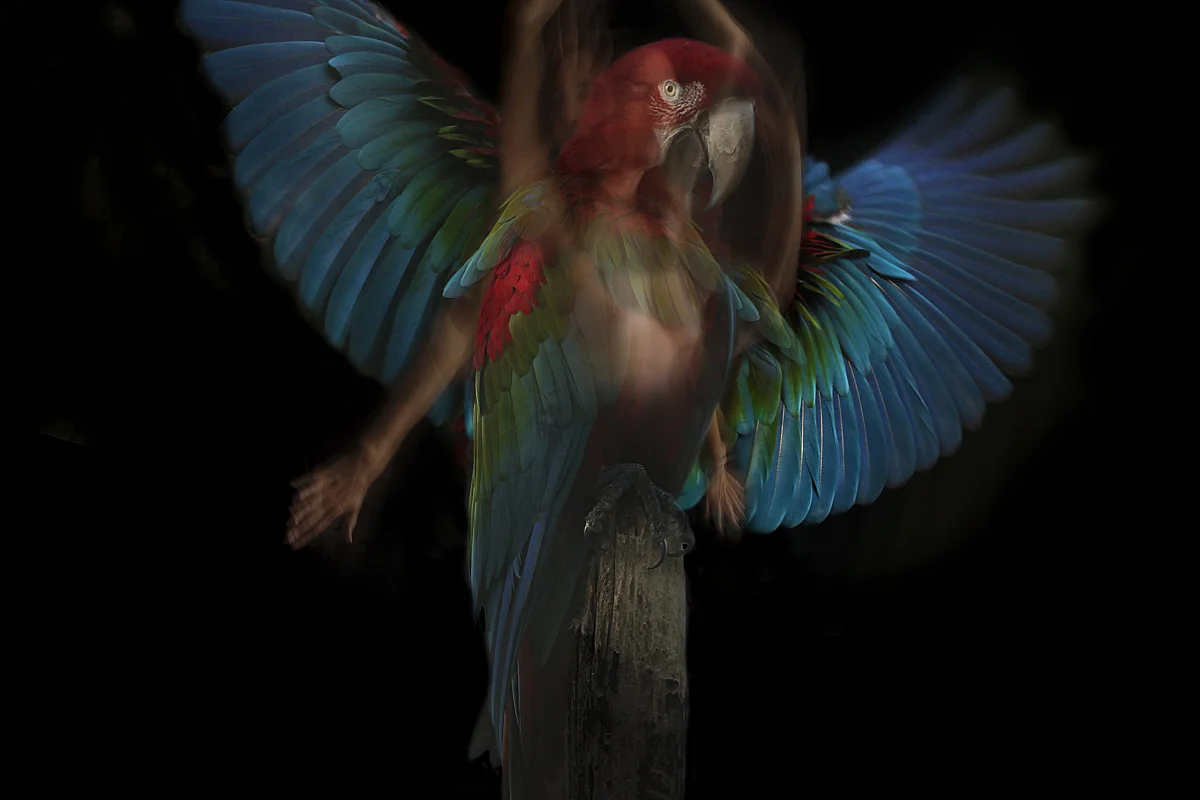 Exposition de photographies de Sandie Louit