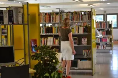 Grande expo de rentrée "La tête dans les livres" - Bibliothèque Andre-Périgord - Feytiat