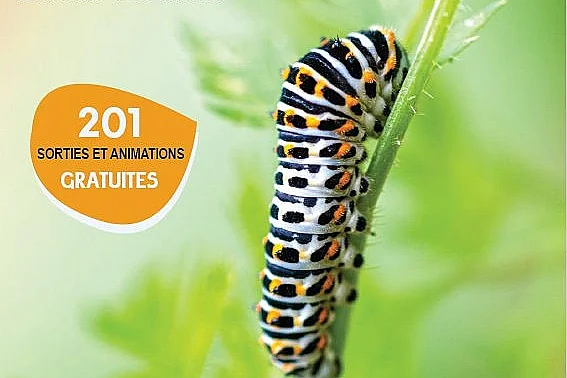 SORTIE NATURE : SCIENCES EN FAMILLE : LES OISEAUX