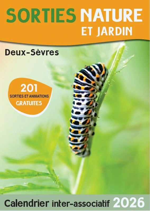 SORTIE NATURE : SCIENCES EN FAMILLE : LES OISEAUX