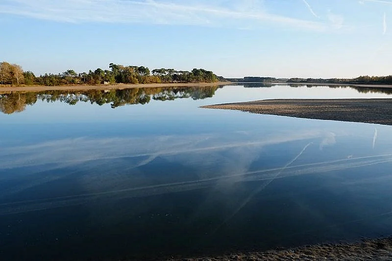 Histoire des paysages de Brenne