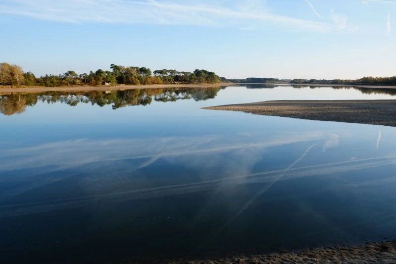 Histoire des paysages de Brenne