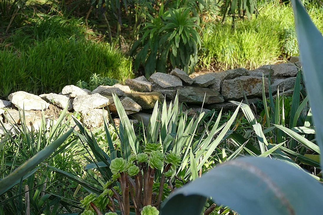 L'intérêt des murets en pierres sèches au jardin