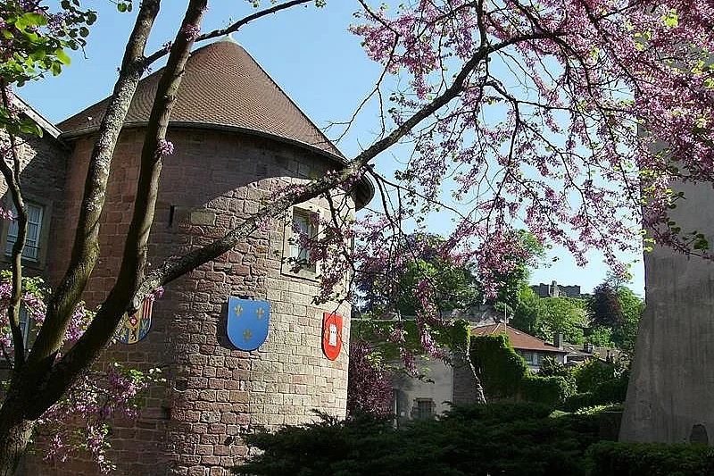 Journées européennes du patrimoine - musée du chapitre